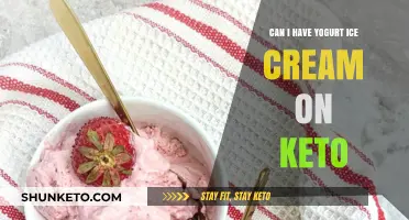 Keto-Friendly Yogurt Ice Cream: Indulging Without Breaking Your Diet