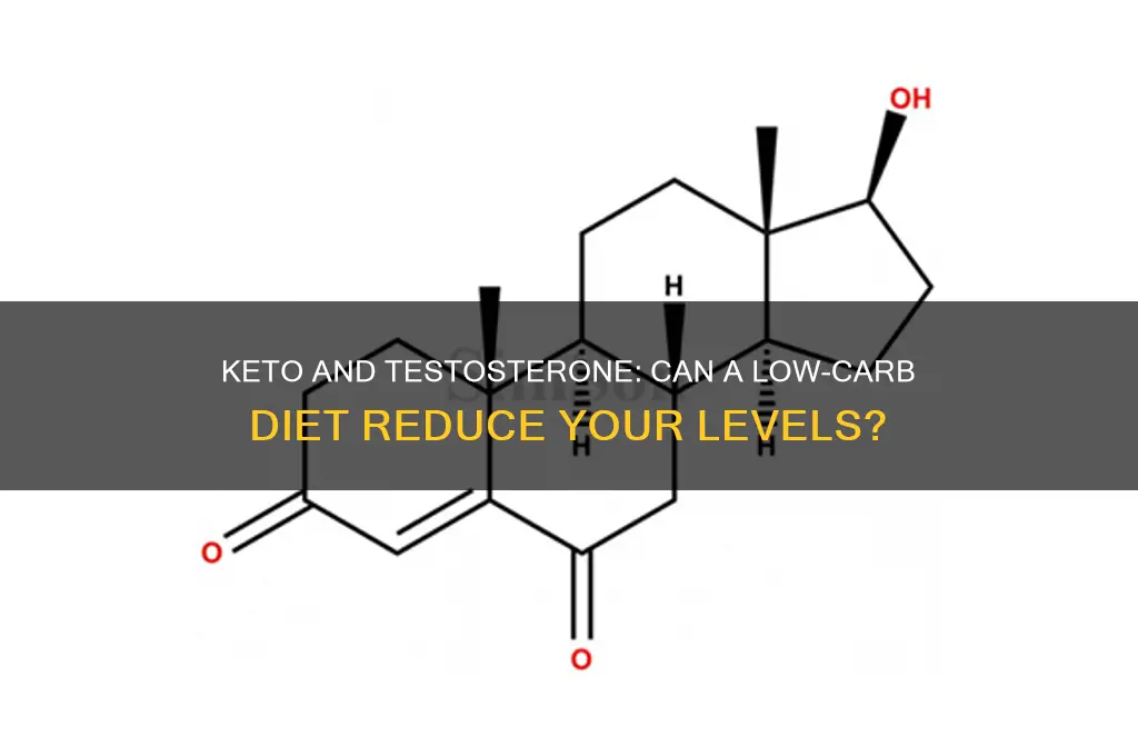 can i lower my testosterone on keto