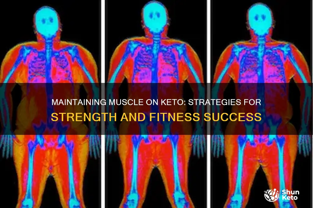 can i maintain muscle on keto