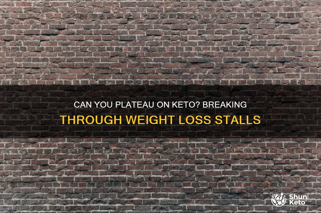 can i plateau on keto