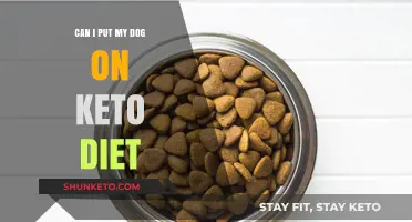 Is a Keto Diet Safe for Your Dog? What You Need to Know