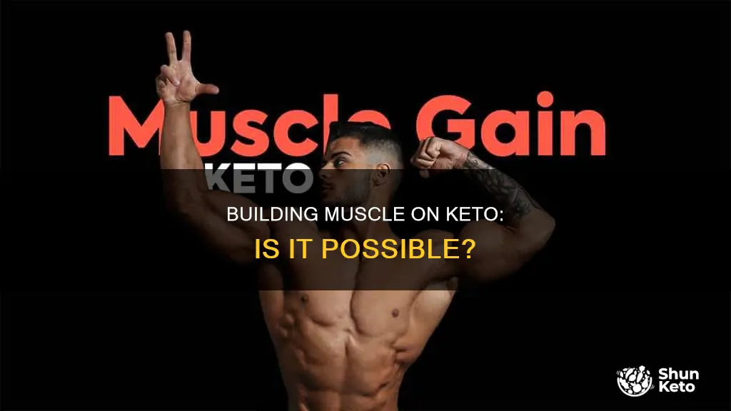 can i put on muscle while eating keto