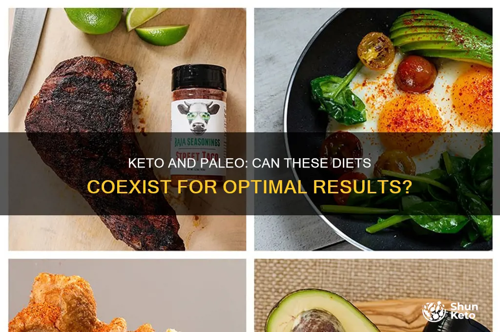 can i stay in keto on a paleo diet