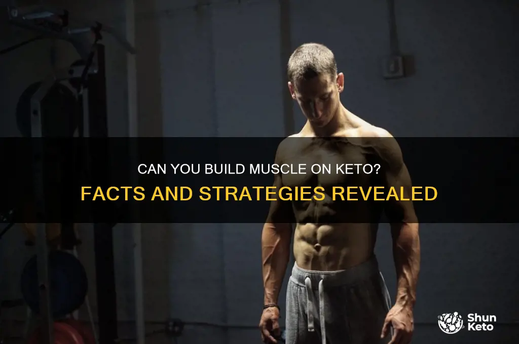 can i still build muscle on keto
