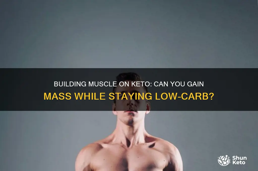 can i still gain mass on keto
