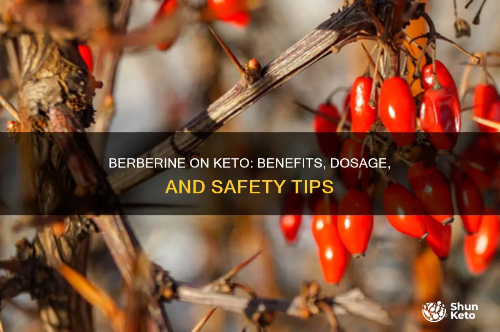 can i take berberine on keto