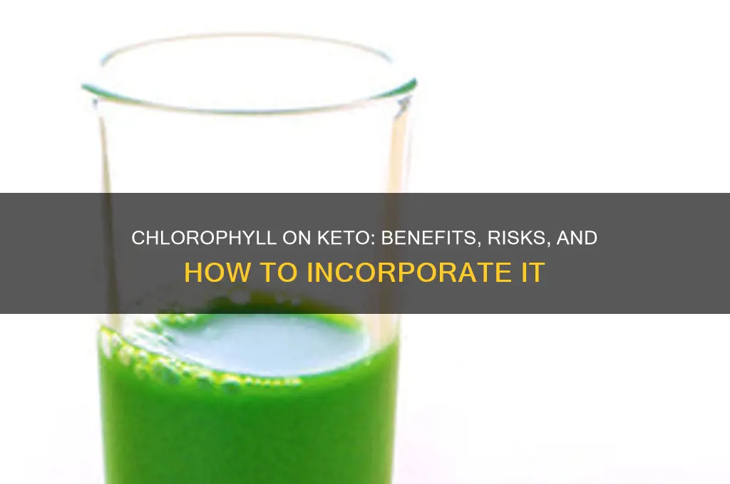 can i take chlorophyll on keto diet