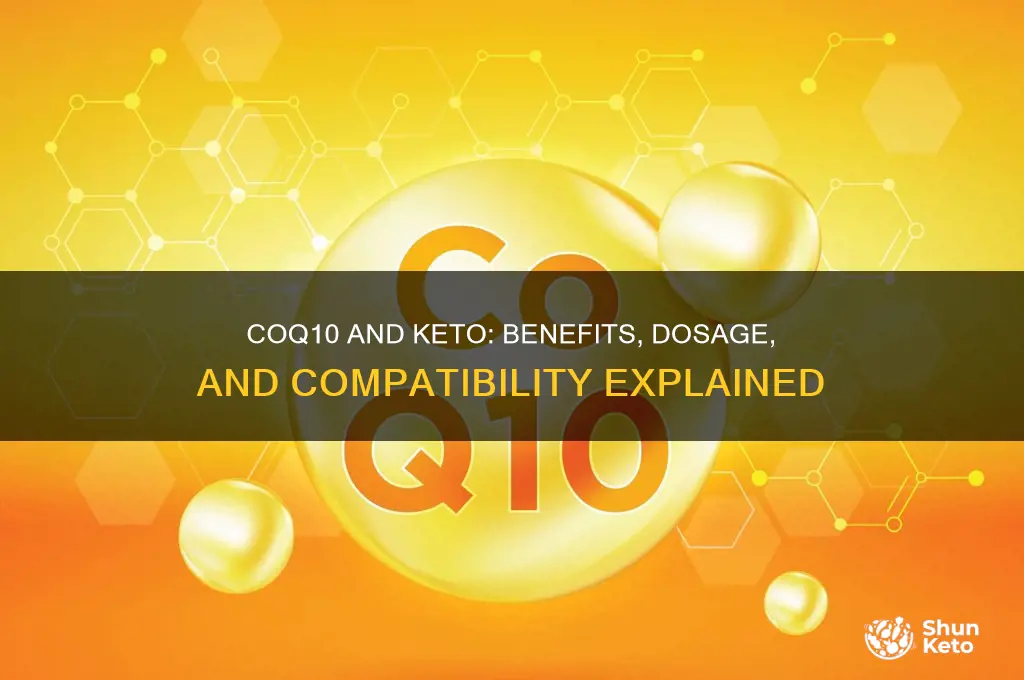 can i take coq10 on keto diet