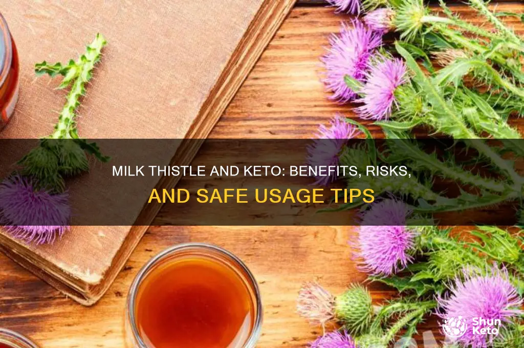 can i take milk thistle while on keto