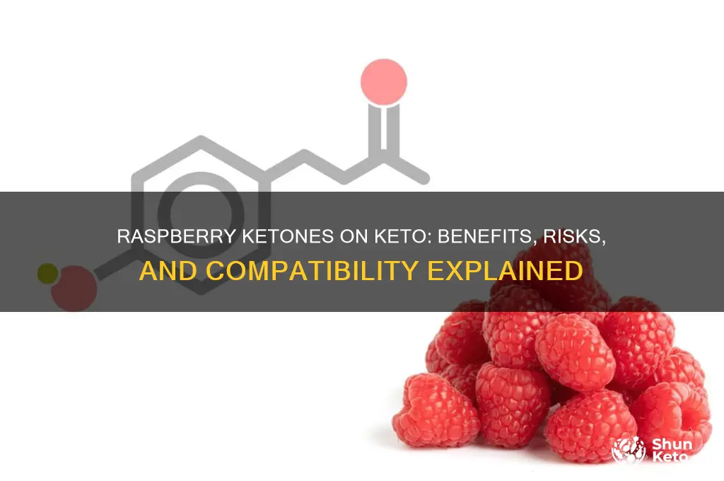 can i take raspberry ketones on keto diet