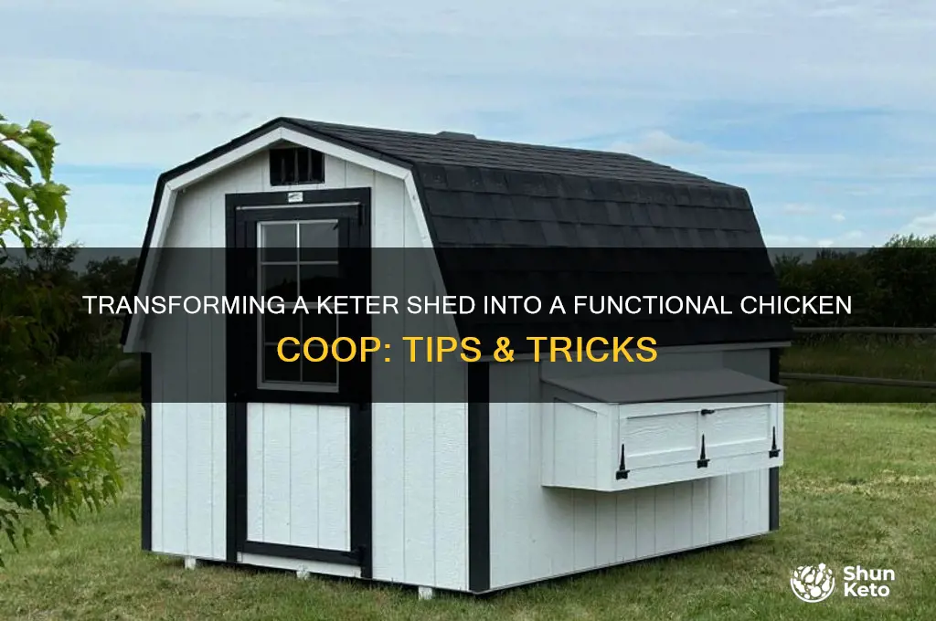 can i turn a keter shed into chicken coop