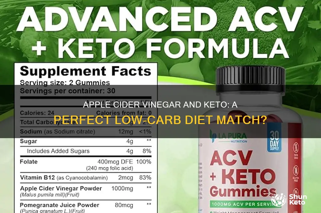 can i use apple cider vinegar on a keto diet