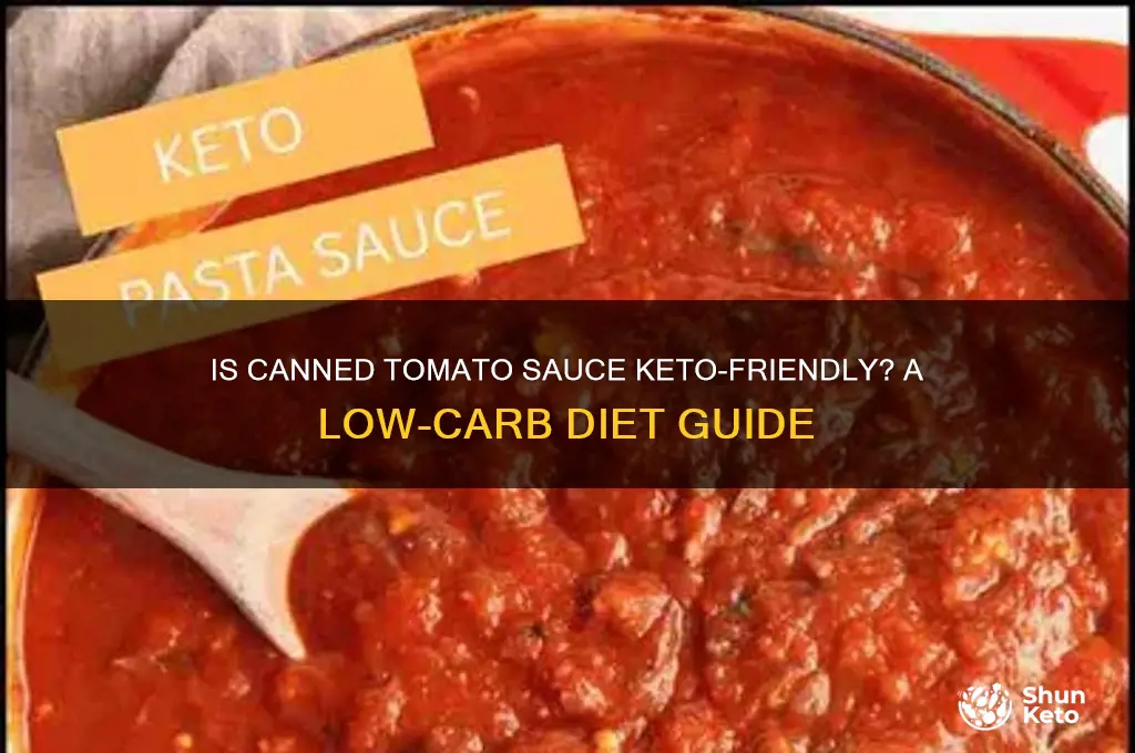 can i use canned tomato sauce keto