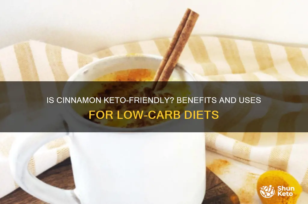 can i use cinnamon on keto