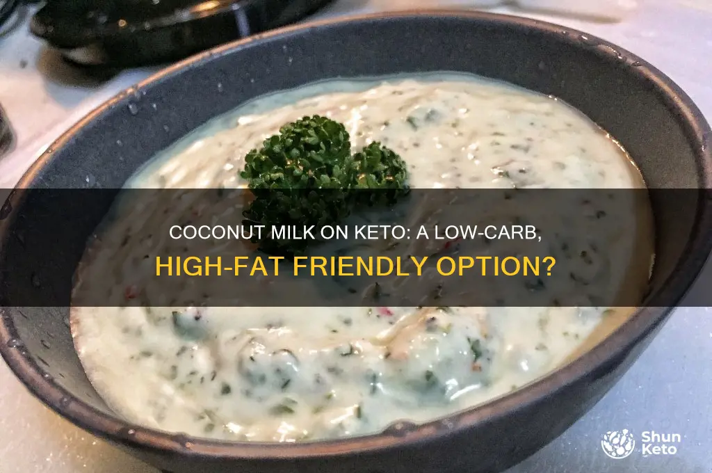 can i use coconut milk on keto