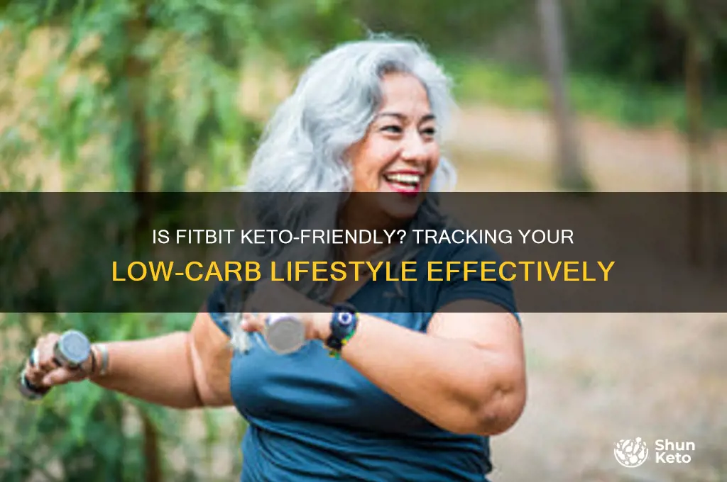 can i use fit biy for keto