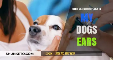 Keto C Flush for Dog Ear Cleaning: Safe or Risky?