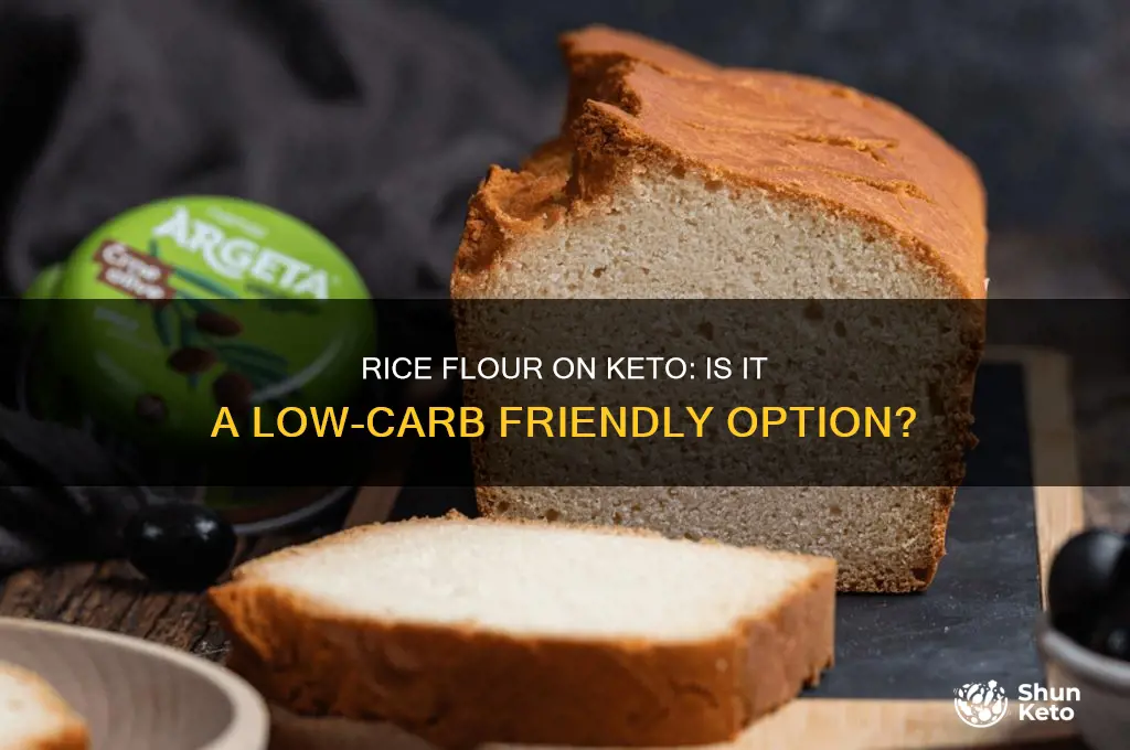 can i use rice flour on keto diet