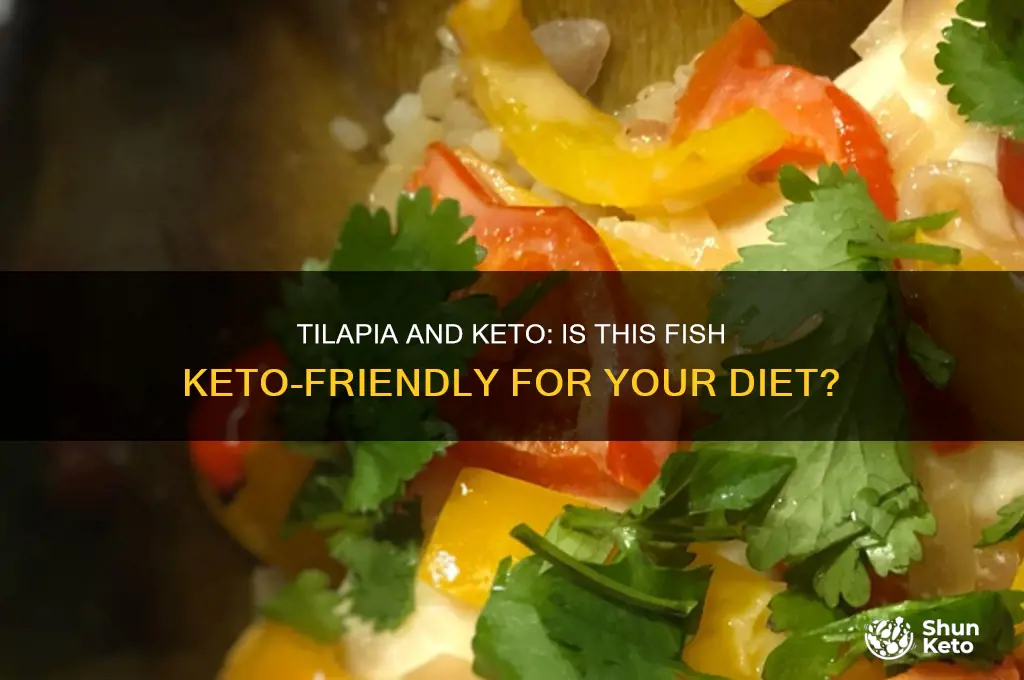 can i use telapia for keto diet