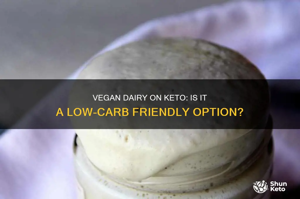 can i use vegan dairy on keto diet