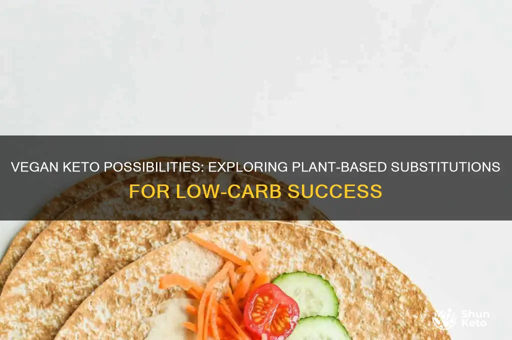 can i use vegan substitustion on keto diet
