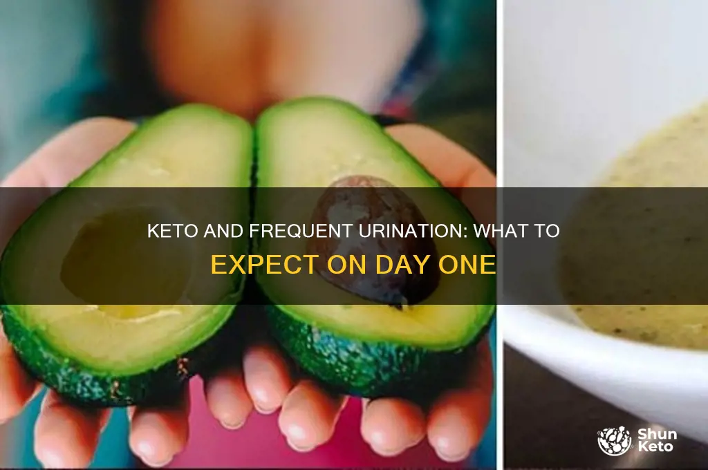 can increased urination occur on first day of keto
