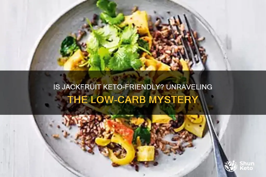 can jackfruit be keto