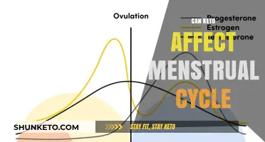Keto and Menstrual Cycle: Understanding Hormonal Changes on a Low-Carb Diet