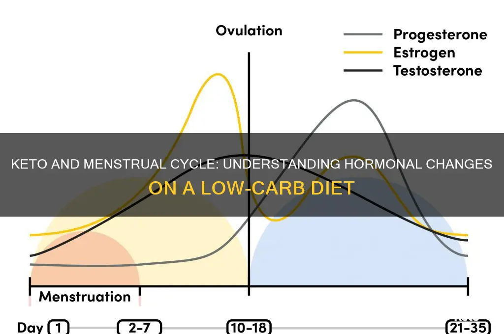 can keto affect menstrual cycle