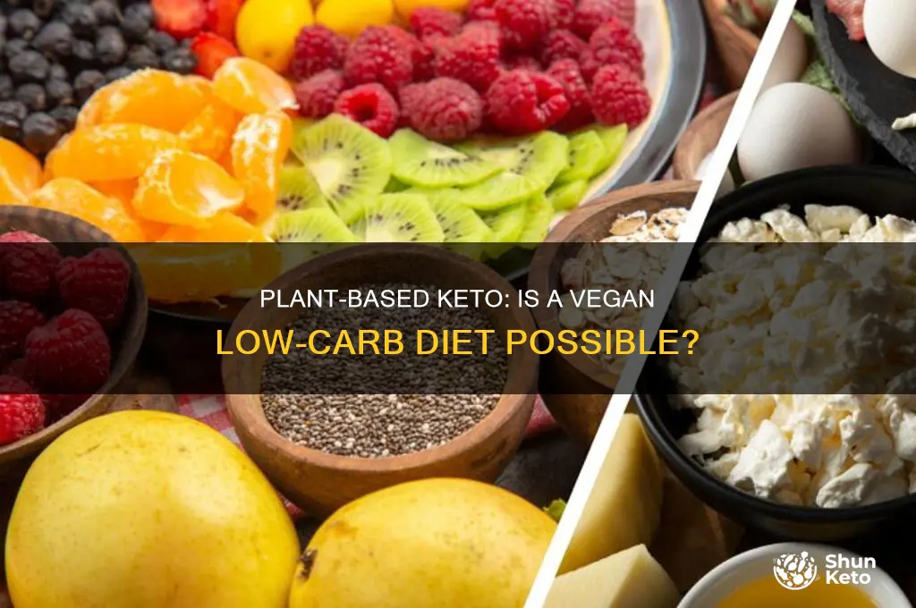 can keto be plant based