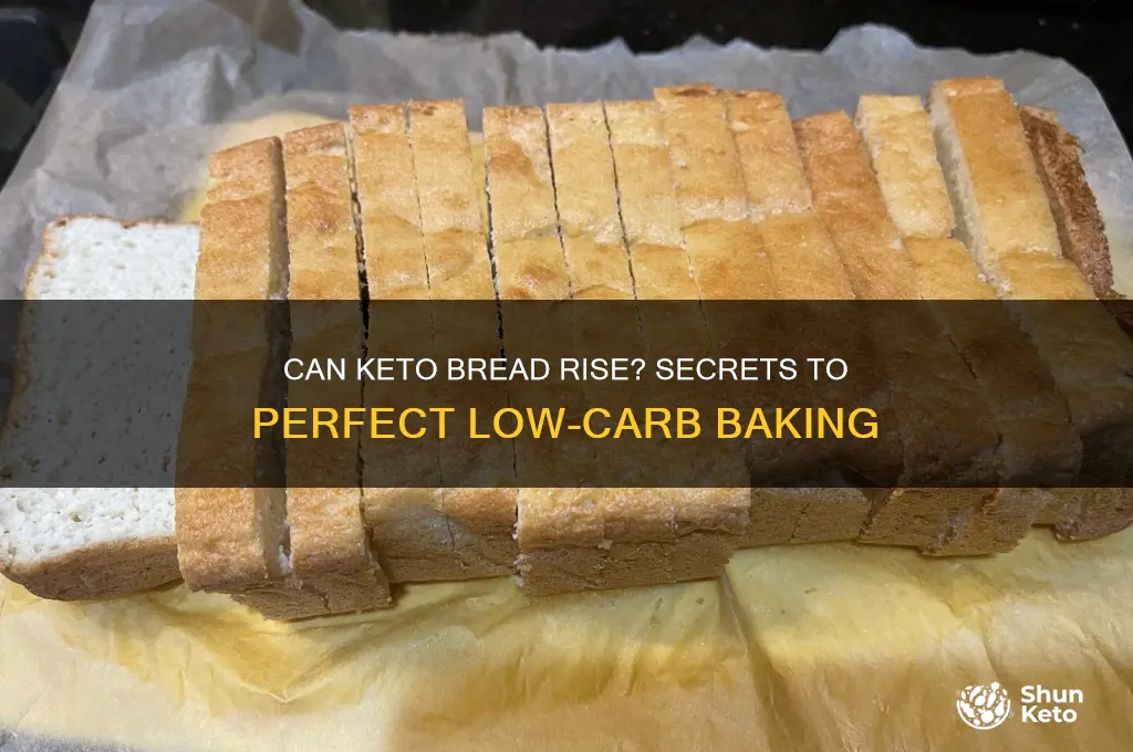 can keto bread rise
