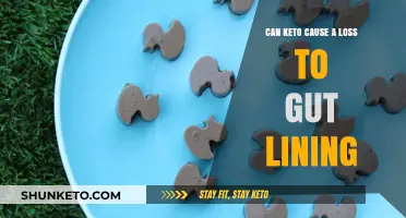 Keto and Gut Health: Does the Diet Damage Your Intestinal Lining?