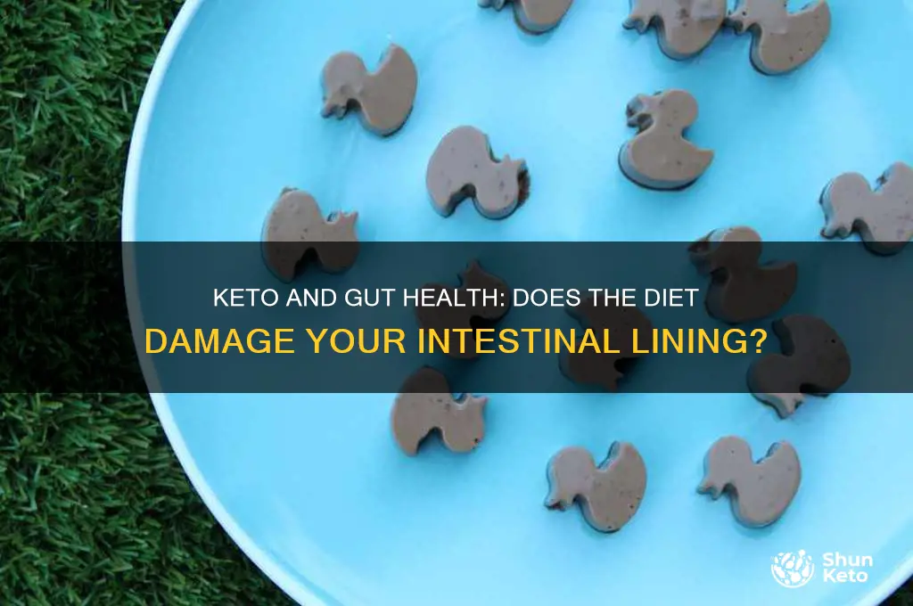 can keto cause a loss to gut lining