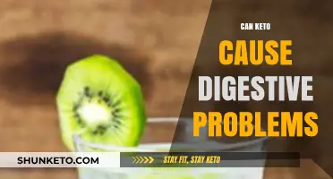 Keto and Digestion: Unraveling Potential Gut Issues on a Low-Carb Diet