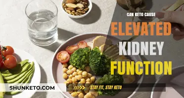 Keto and Kidney Health: Understanding Elevated Function Risks