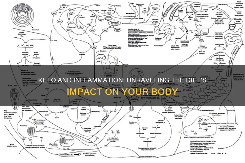 can keto cause inflammation