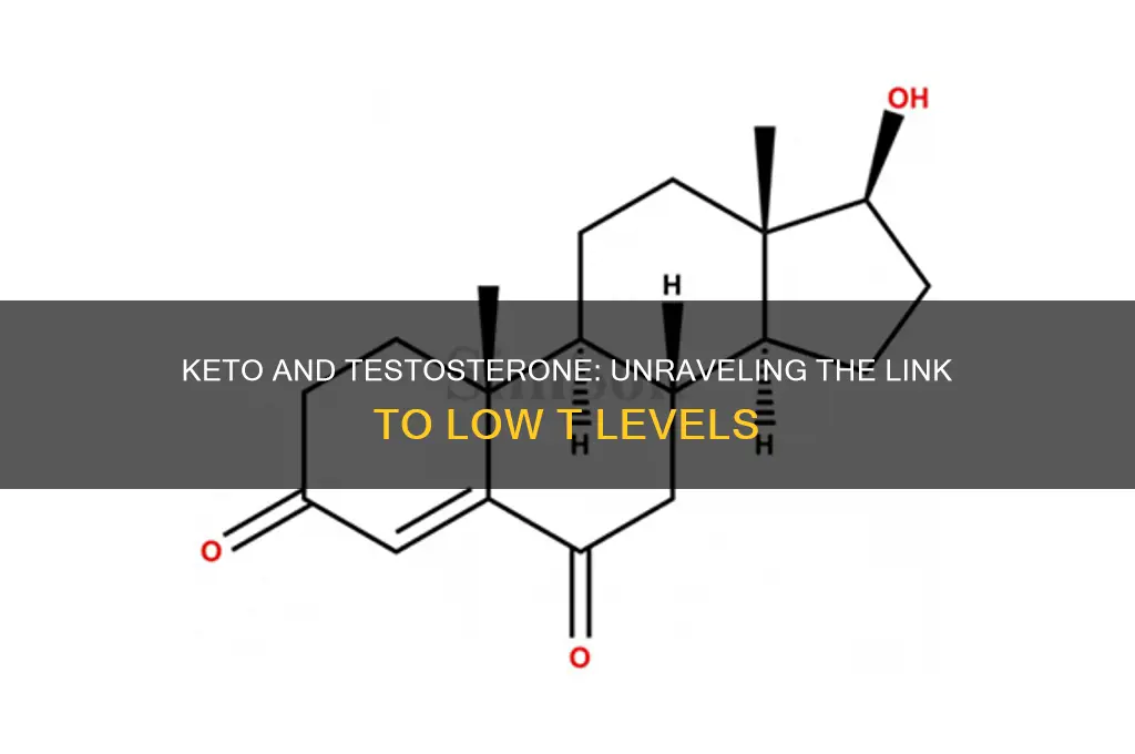 can keto cause low testosterone