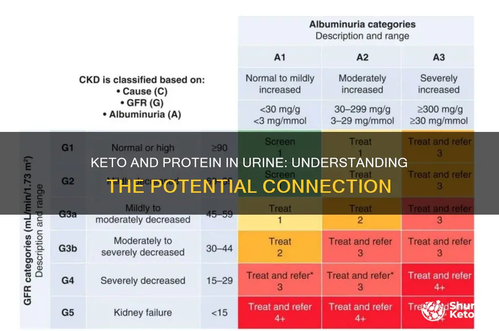 can keto cause protein in urine