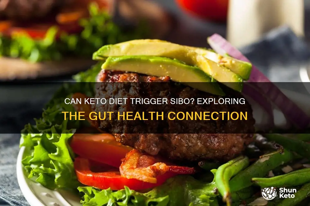 can keto cause sibo