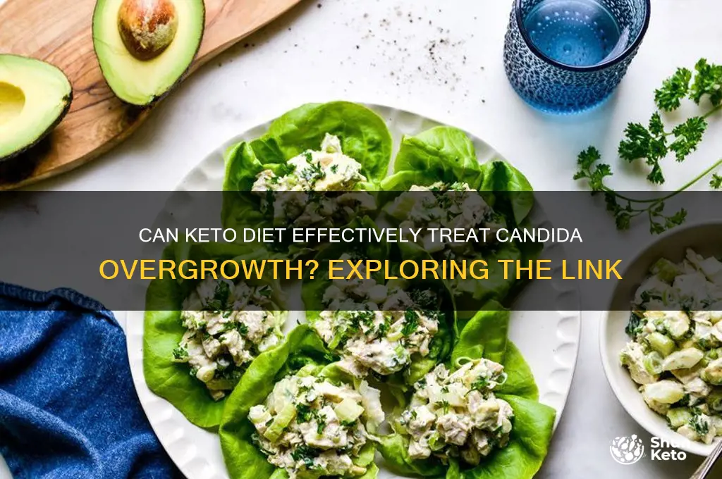 can keto cure candida