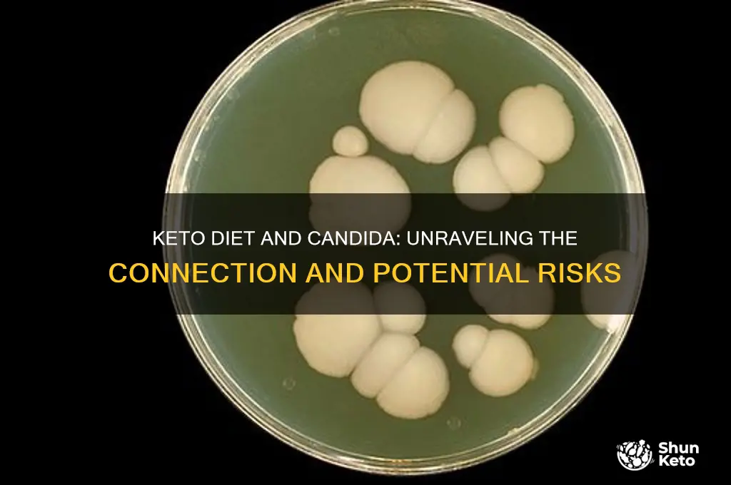 can keto diet cause candida