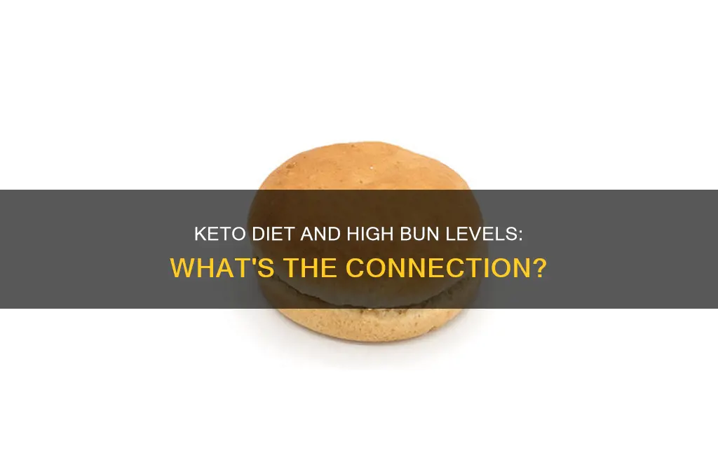 can keto diet cause high bun levels