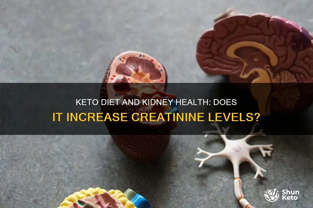can keto diet cause high creatinine