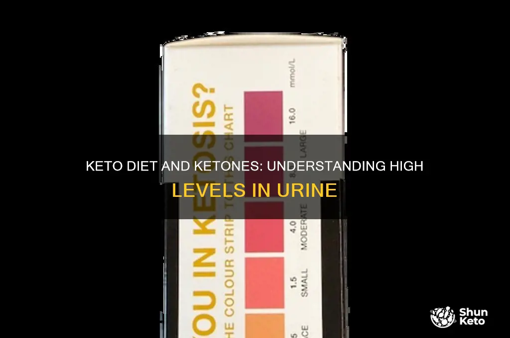 can keto diet cause high ketones in urine