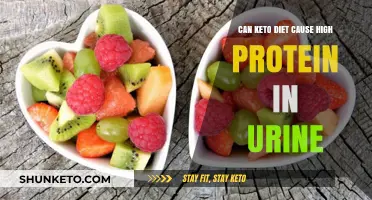 Keto Diet and Proteinuria: Understanding High Protein in Urine