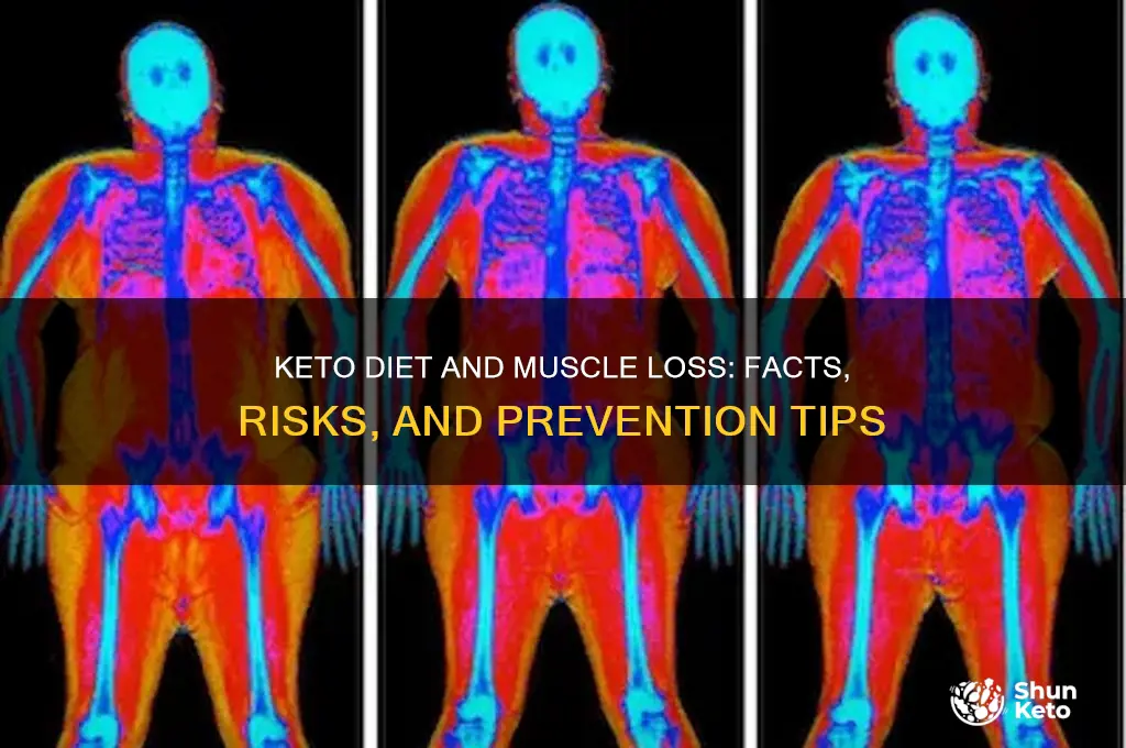can keto diet cause muscle loss