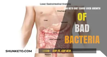 Keto Diet and Gut Health: Risks of Bad Bacteria Overgrowth