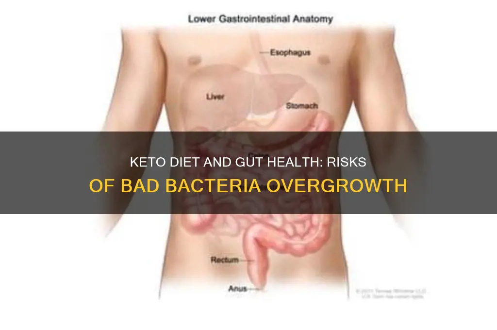 can keto diet cause over growth of bad bacteria