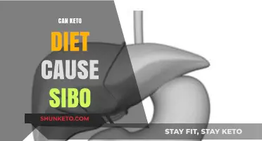 Keto Diet and SIBO: Unraveling the Potential Connection