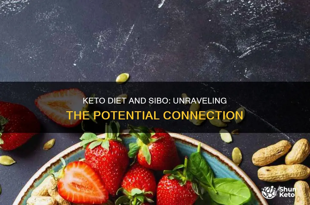 can keto diet cause sibo
